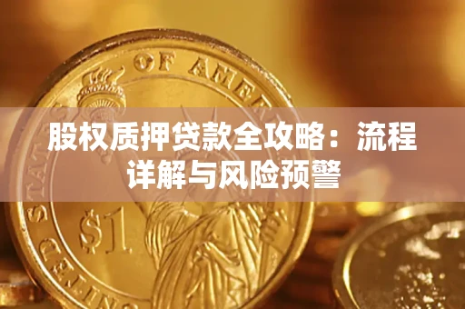 武汉股权质押贷款全攻略：流程详解与风险预警