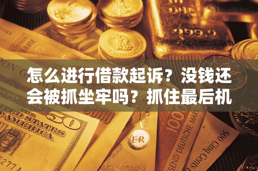武汉怎么进行借款起诉？没钱还会被抓坐牢吗？抓住最后机会！