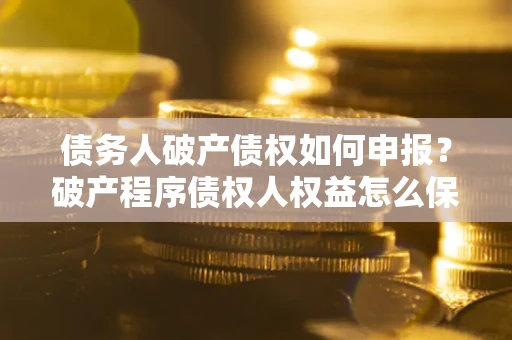 武汉债务人破产债权如何申报？破产程序债权人权益怎么保障？