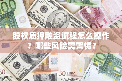 武汉股权质押融资流程怎么操作？哪些风险需警惕？