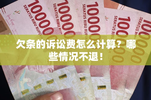 武汉欠条的诉讼费怎么计算？哪些情况不退！