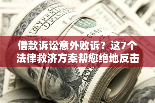 武汉借款诉讼意外败诉？这7个法律救济方案帮您绝地反击！