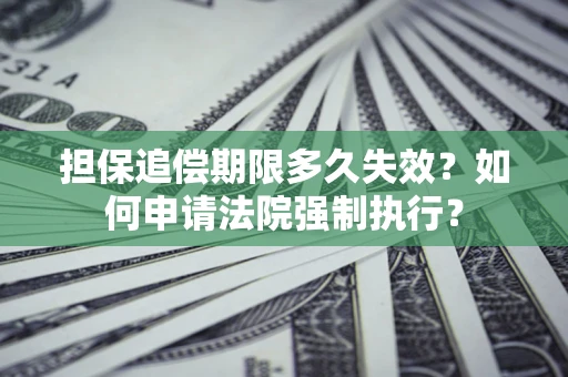 武汉担保追偿期限多久失效？如何申请法院强制执行？