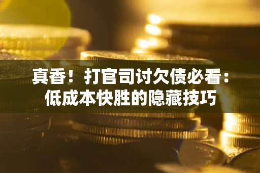 武汉真香！打官司讨欠债必看：低成本快胜的隐藏技巧