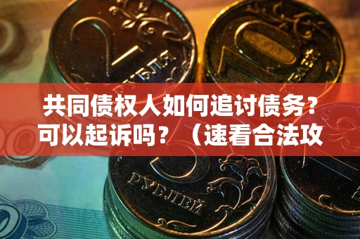 武汉共同债权人如何追讨债务？可以起诉吗？（速看合法攻略）