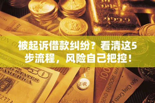武汉被起诉借款纠纷？看清这5步流程，风险自己把控！