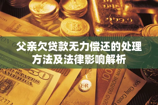 武汉父亲欠贷款无力偿还的处理方法及法律影响解析