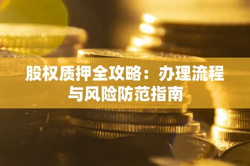 武汉股权质押全攻略：办理流程与风险防范指南