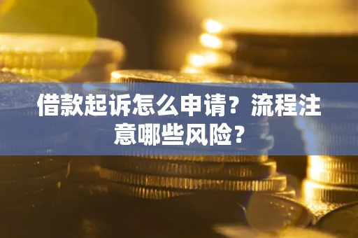 武汉借款起诉怎么申请？流程注意哪些风险？