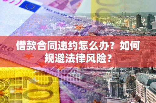 武汉借款合同违约怎么办？如何规避法律风险？